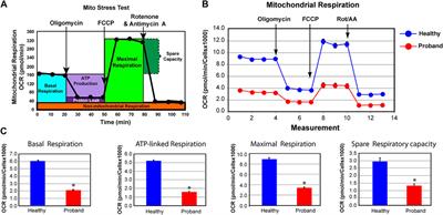 Genetic and Mitochondrial Metabolic Analyses of an Atypical Form of Leigh Syndrome